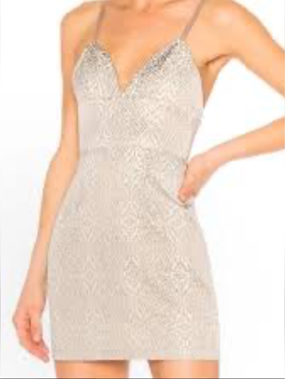 By The Way Revolve Alicia Brocade Mini Dress